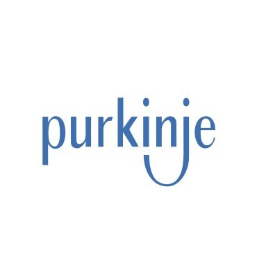 Purkinje: A Training Program for a Successful Digital Transition