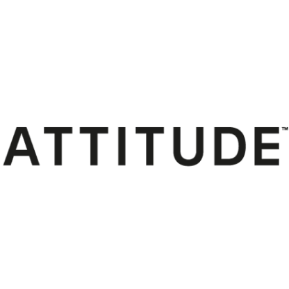 Attitude: An Automation System for the Processes of an Online Business